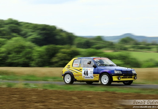 48 Comesse/Guglielmini