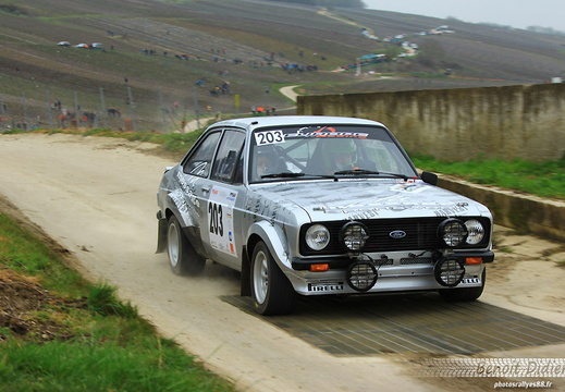 203 Chiaravita/Ferret