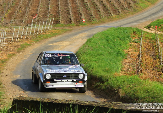 203 Chiaravita/Ferret