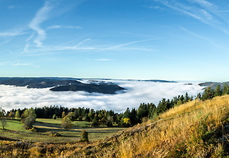 IMG 5541-Panorama