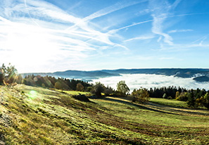 IMG 5598-Panorama