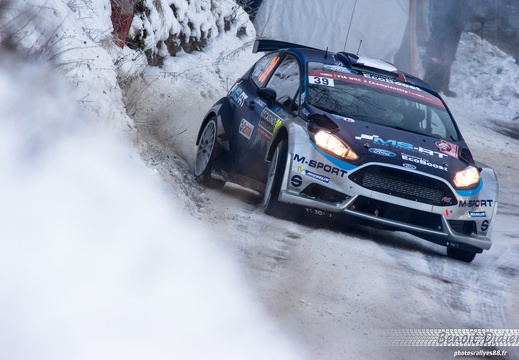 39 Camilli/Veillas