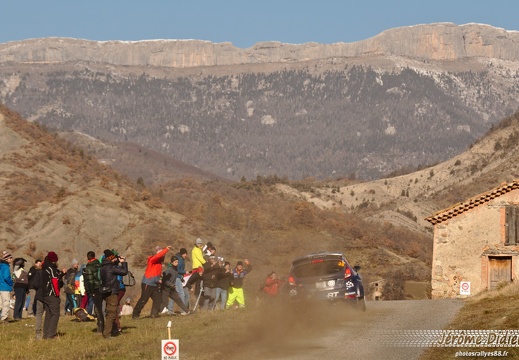 39 Camilli/Veillas