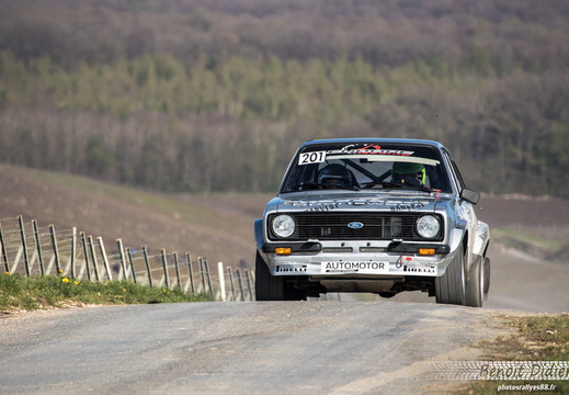 201 Chiaravita/Ferret