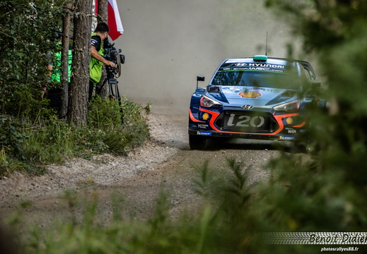 6 Paddon/Marshall