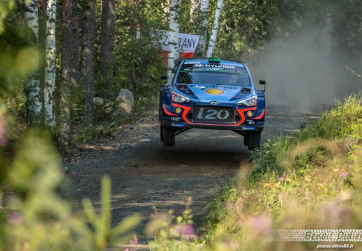 6 Paddon/Marshall
