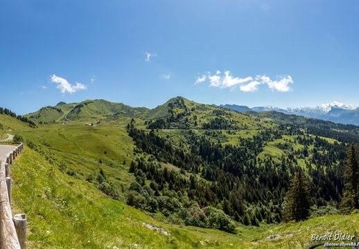 771A4832-Panorama 