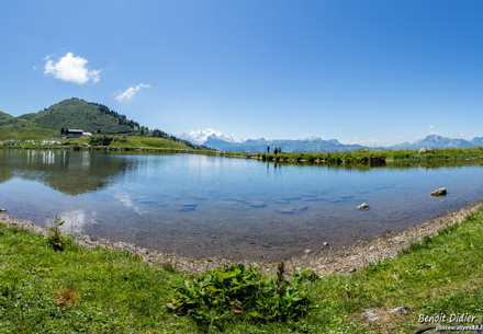 771A4849-Panorama 