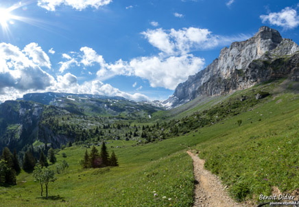 771A5076-Panorama