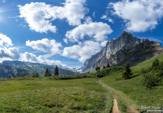 771A5057-Panorama 