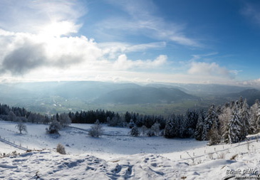 771A5824-Panorama 