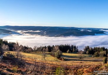 771A8529-Panorama 