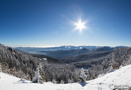 771A5900-Panorama 