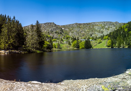 IMG 7062-Panorama 
