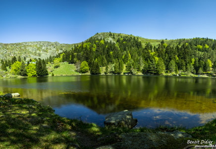 IMG 7044-Panorama