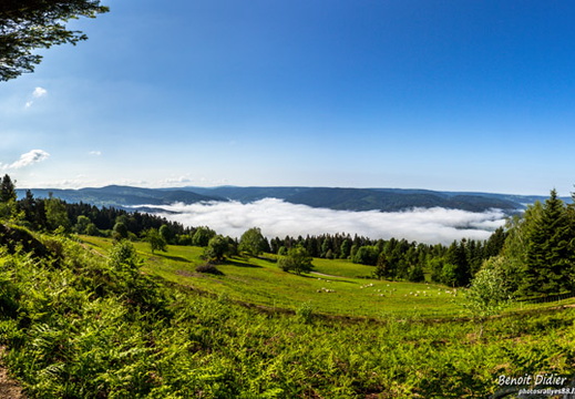 IMG 7285-Panorama 